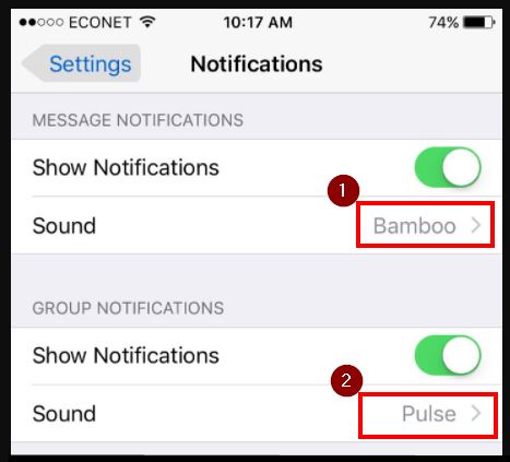 Pilih Opsi Show Notification Di Pengaturan Iphone